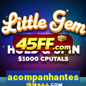 acompanhantes masculino pvh